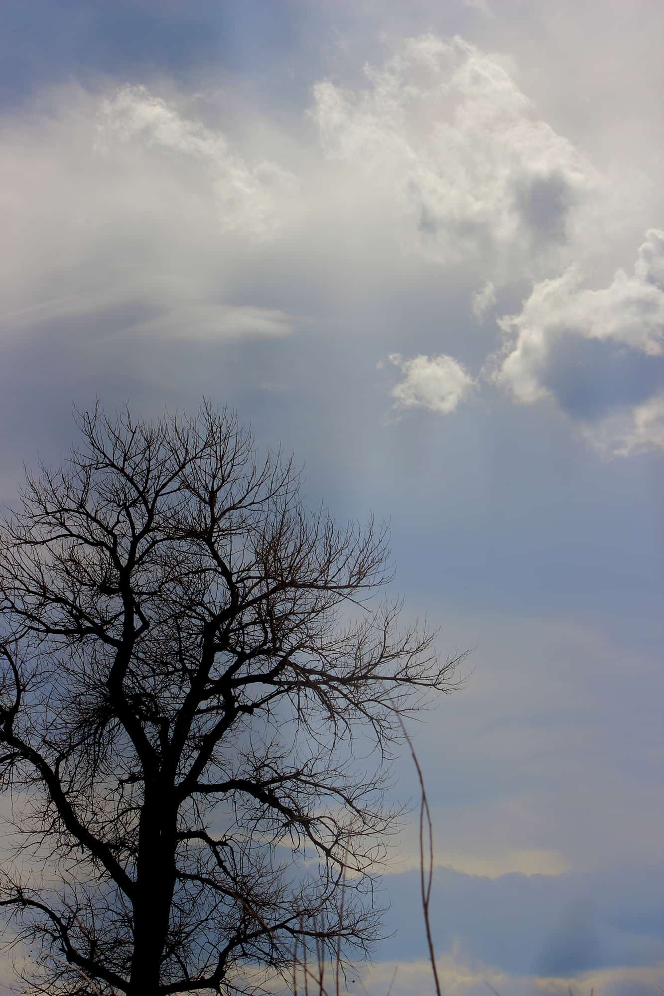 Canoeing-Trips-Longmont-Boulder