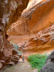 Narrows in Three Canyon
