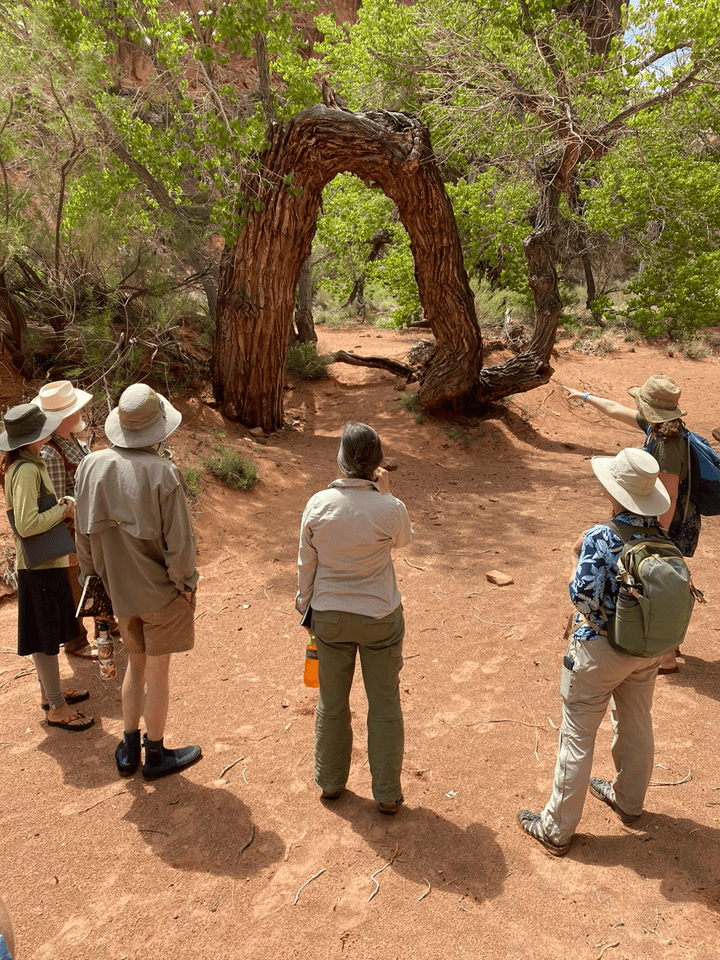 river writing carousel_0006_Layer 2