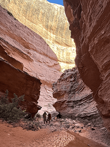 canyon_hike3